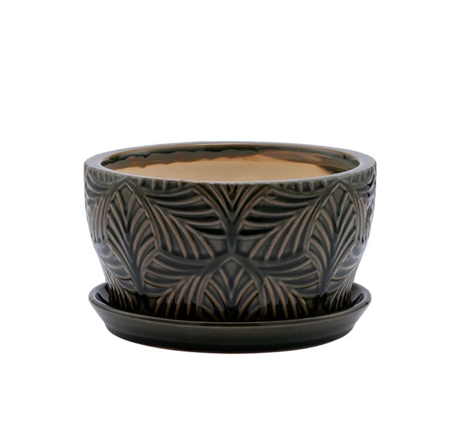 Green Palm Ceramic Dish Garden with Saucer 7″