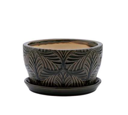 Green Palm Ceramic Dish Garden with Saucer 7″