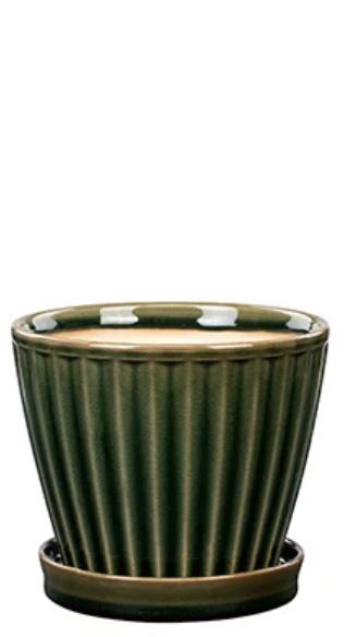 Green Ribbed Ceramic Planter with Saucer 5"