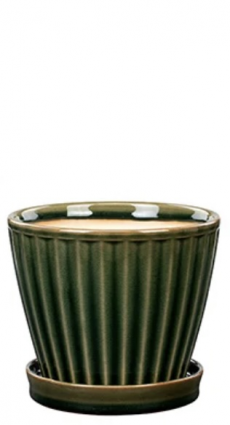 Green Ribbed Ceramic Planter with Saucer 5"