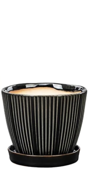 Black Ribbed Ceramic Planter with Saucer 5"
