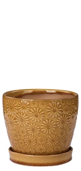 Mustard Yellow Daisy Ceramic Planter with Saucer 5"