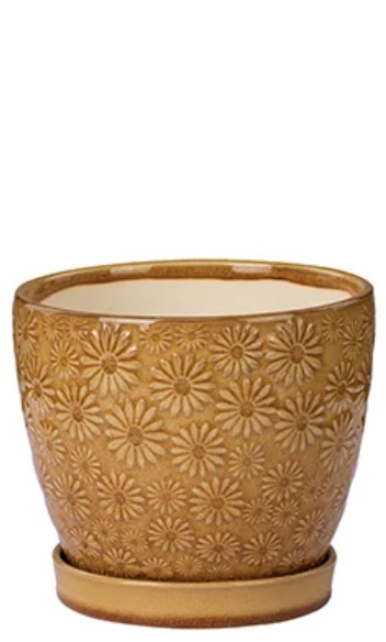 Mustard Yellow Daisy Ceramic Planter with Saucer 6"