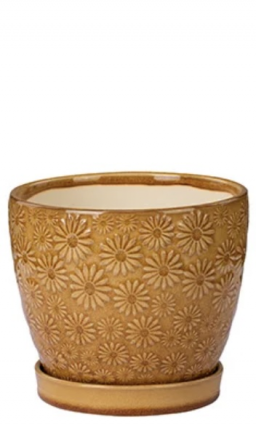 Mustard Yellow Daisy Ceramic Planter with Saucer 6"