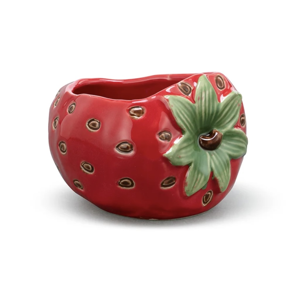 Strawberry Ceramic Planter