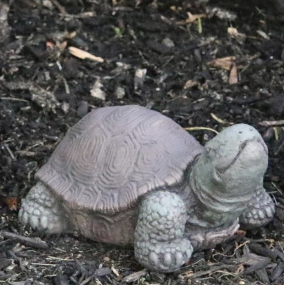 Extra Small Tortoise Cast Stone Garden Statue 4"