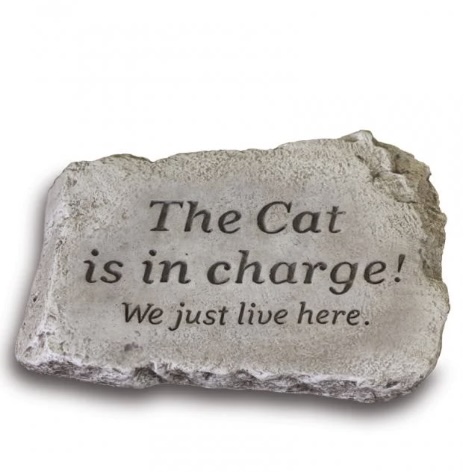 The Cat Is in Charge Garden Stone 10"