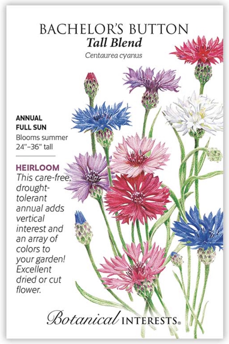 Tall Blend Bachelor's Button Seeds