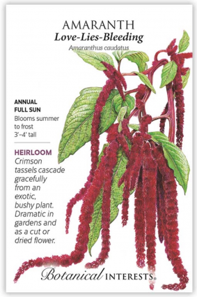 Love-Lies-Bleeding Amaranth Seeds