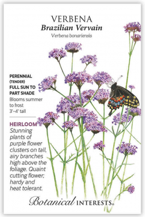 Brazilian Vervain Verbena Seeds