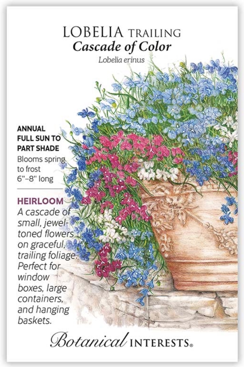 Cascade of Color Trailing Lobelia Seeds