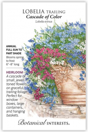 Cascade of Color Trailing Lobelia Seeds