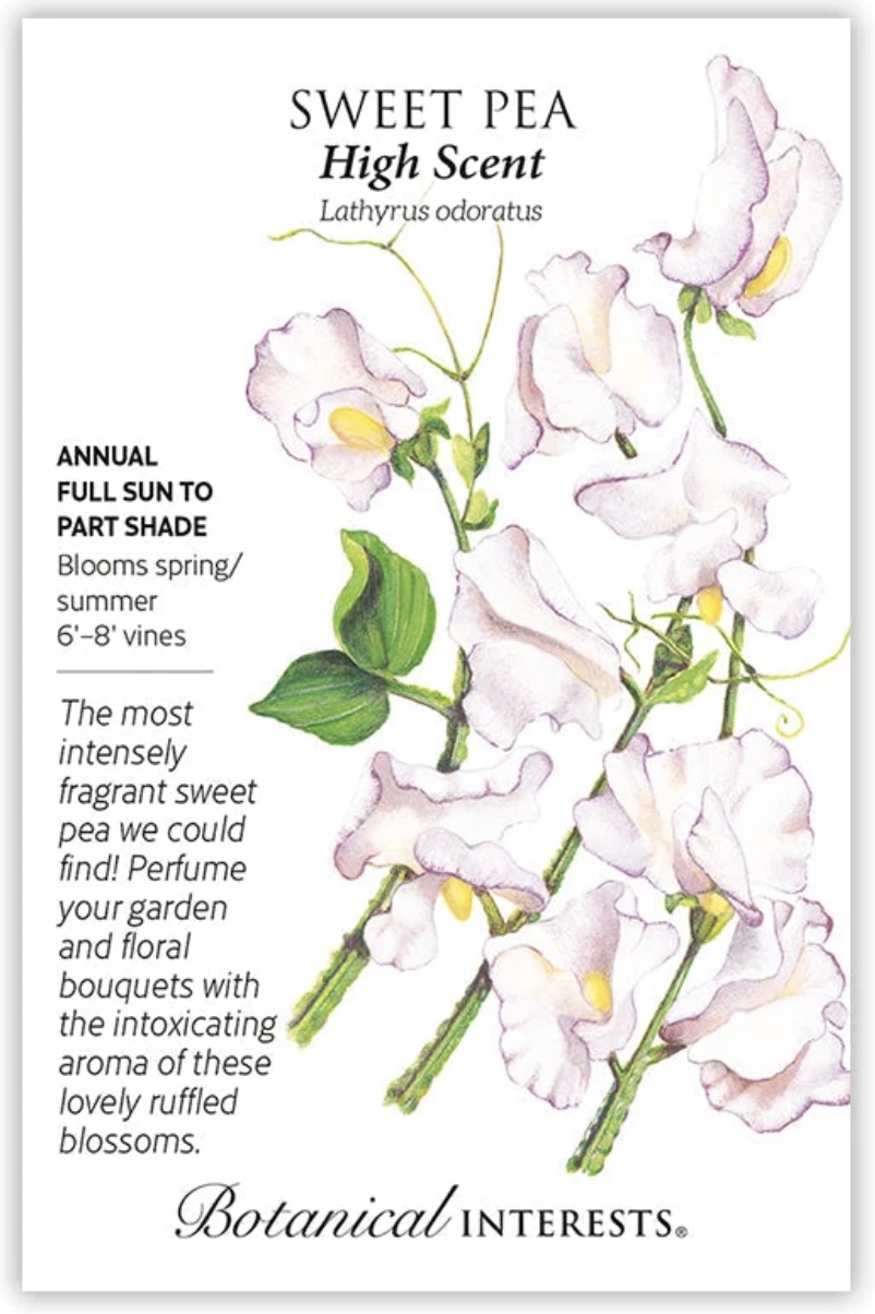 High Scent Sweet Pea Seeds