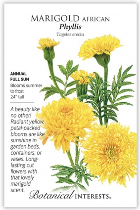 Phyllis African Marigold Seeds