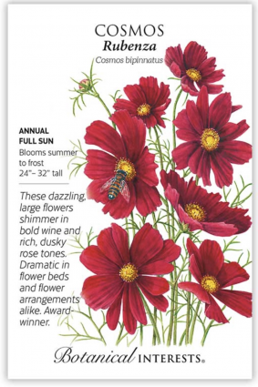 Rubenza Cosmos Seeds