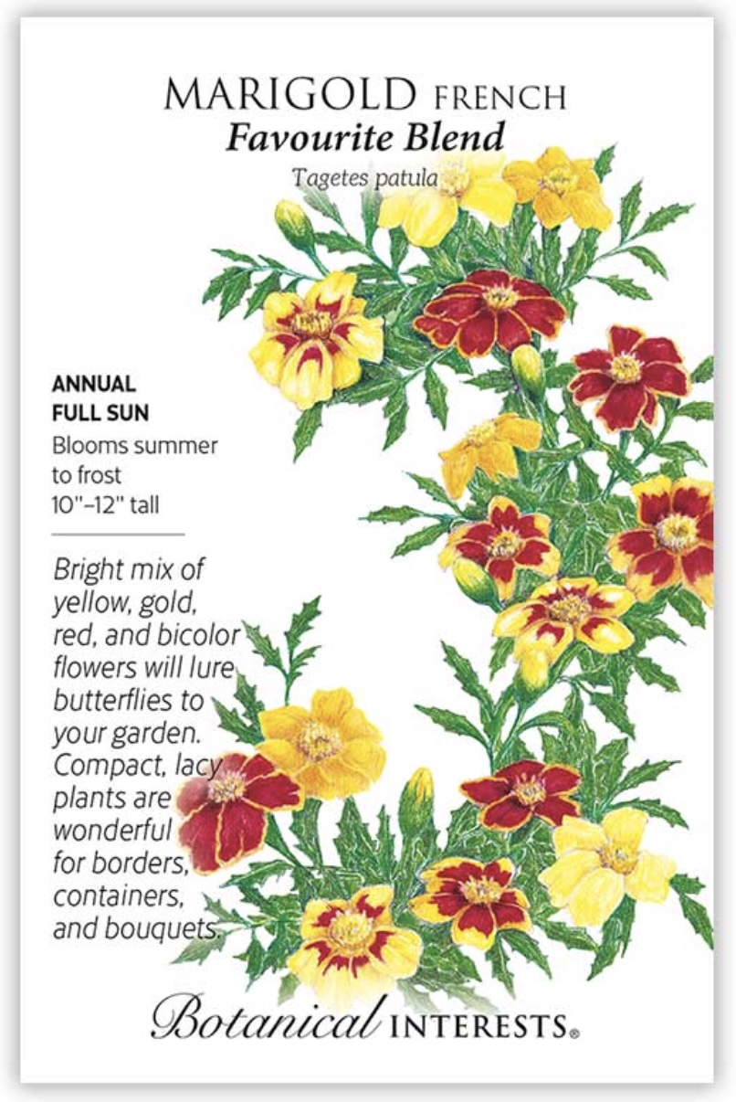 Favourite Blend French Marigold Seeds