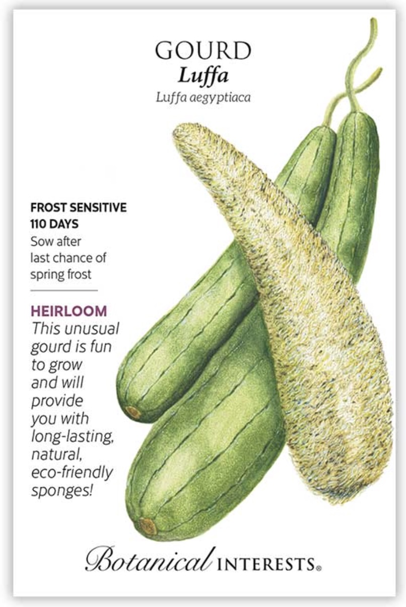 Luffa Gourd Seeds