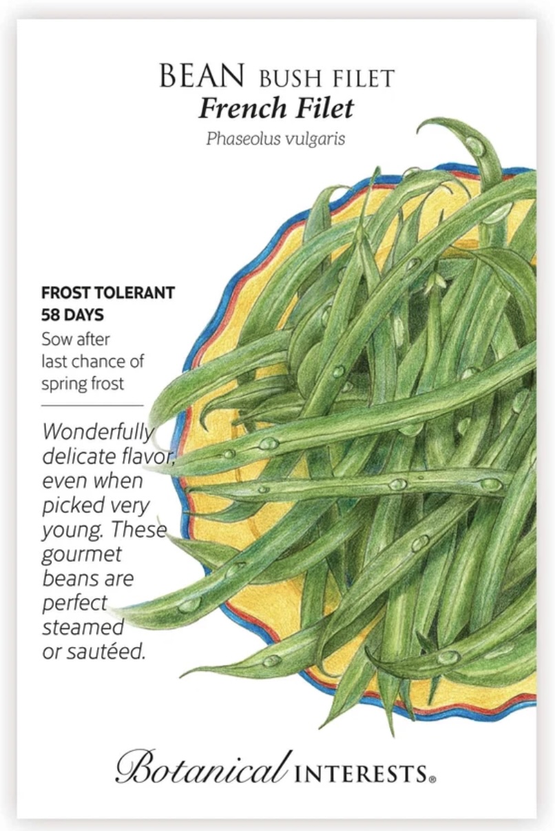 French Filet Bush Bean Seeds