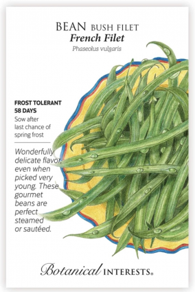 French Filet Bush Bean Seeds