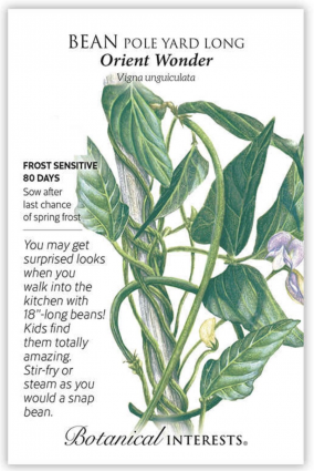 Orient Wonder Pole Yard Long Bean Seeds