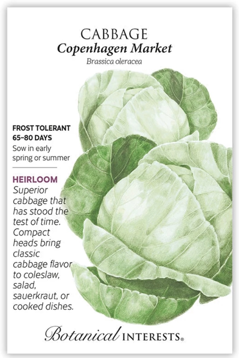 Copenhagen Market Cabbage Seeds