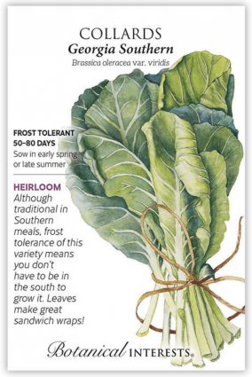 Georgia Southern Collards Seeds