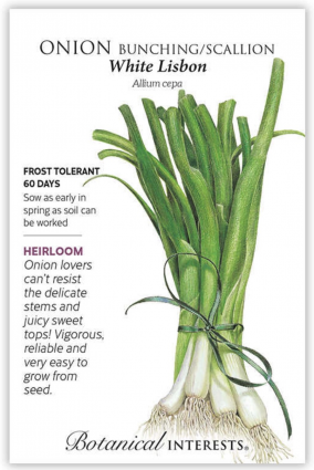 White Lisbon Bunching Onion Seeds 