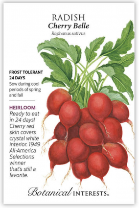 Cherry Belle Radish Seeds