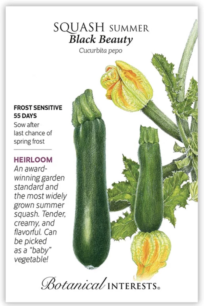 Black Beauty Summer Squash Seeds