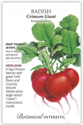 Crimson Giant Radish Seeds