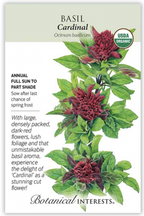 Organic Cardinal Basil Seeds