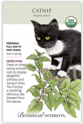Organic Catnip Seeds