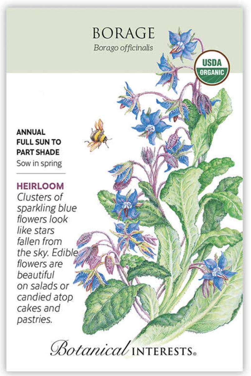 Organic Borage Seeds