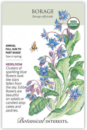 Organic Borage Seeds