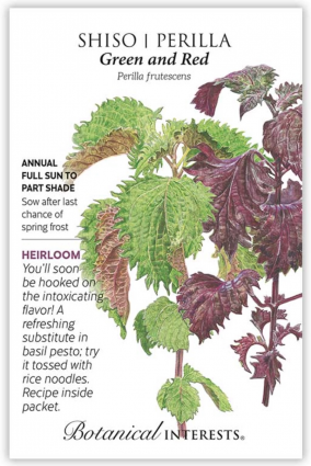 Heirloom Green and Red Shiso Perilla Seeds