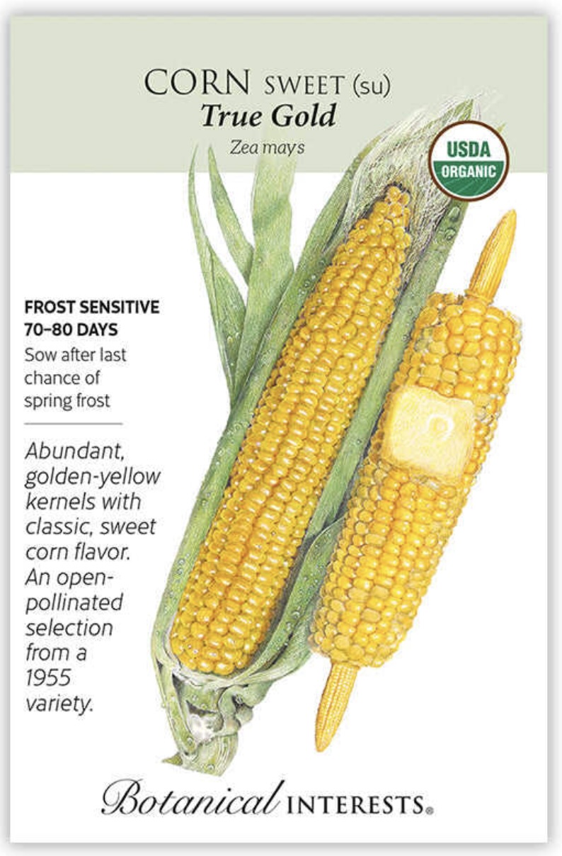 Organic True Gold Organic Sweet Corn Seeds
