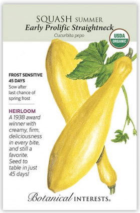 Organic Early Prolific Straightneck Summer Squash Seeds