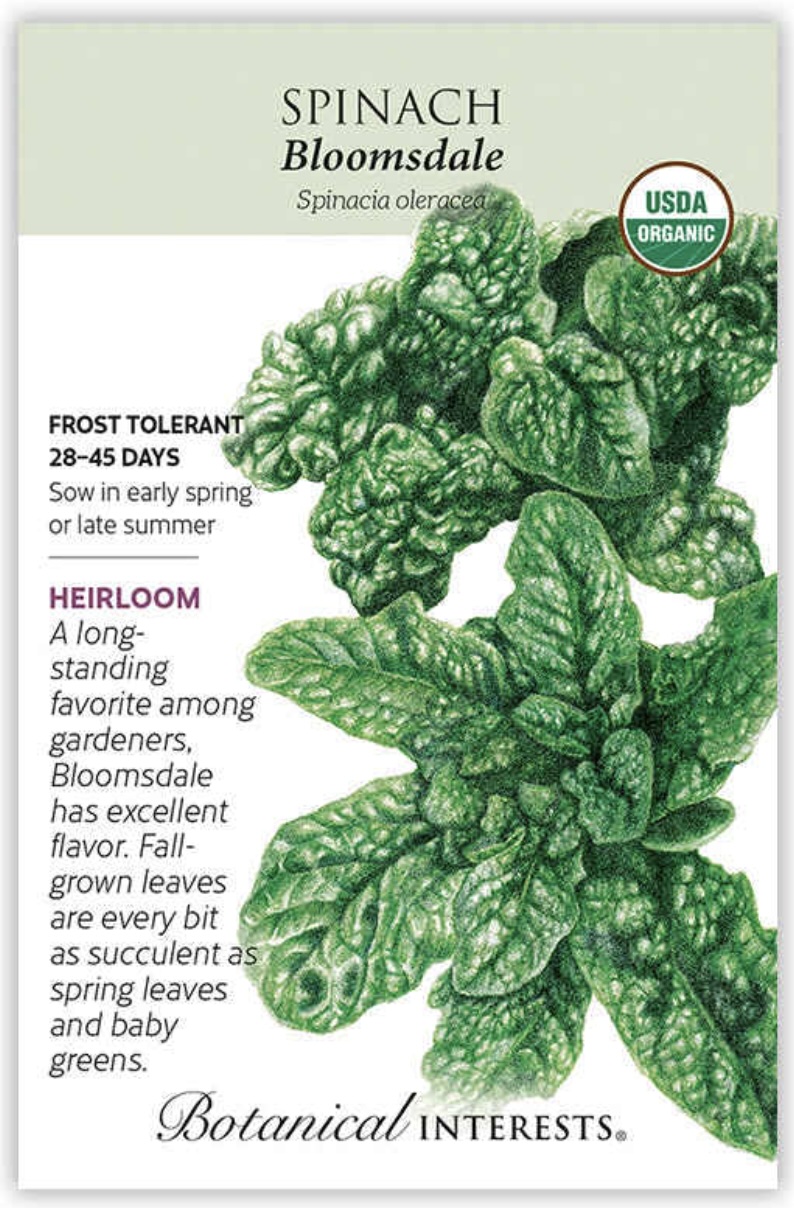 Organic Bloomsdale Spinach Seeds