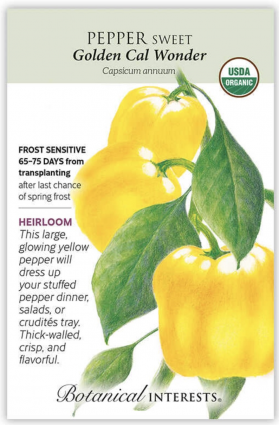 Organic Golden Cal Wonder Sweet Pepper Seeds