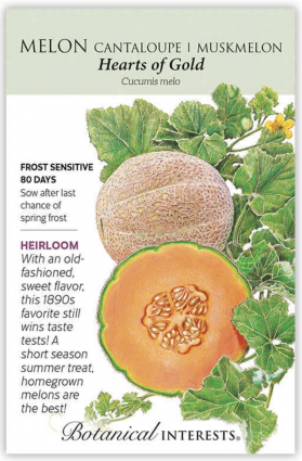 Organic Hearts of Gold Cantaloupe/Muskmelon Seeds