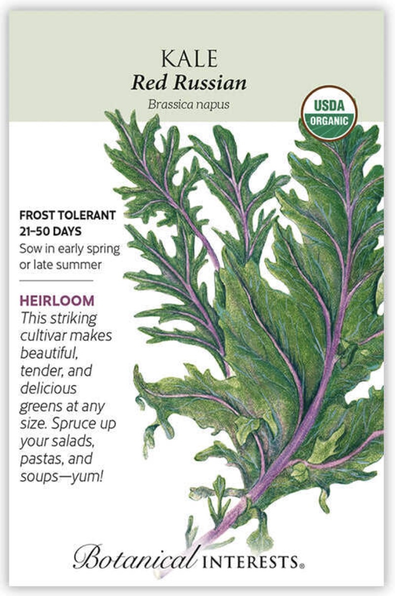 Organic Red Russian Kale Seeds
