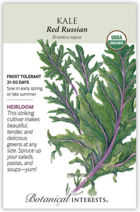 Organic Red Russian Kale Seeds