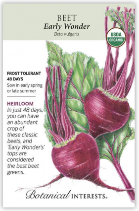 Organic Early Wonder Beet Seeds
