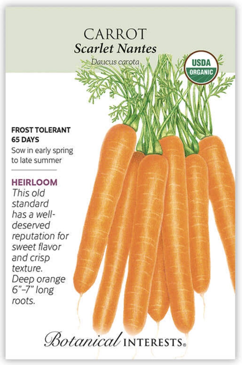 Organic Scarlet Nantes Carrot Seeds