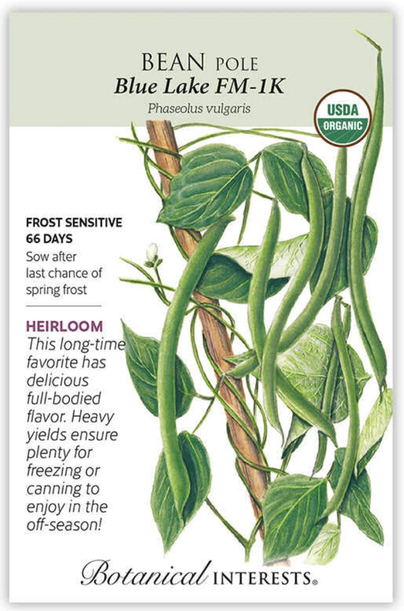 Organic Blue Lake FM-1K Pole Bean Seeds