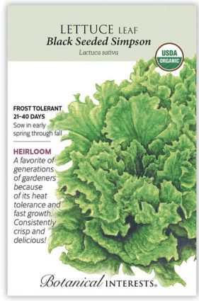 Organic Black Seeded Simpson Leaf Lettuce Seeds
