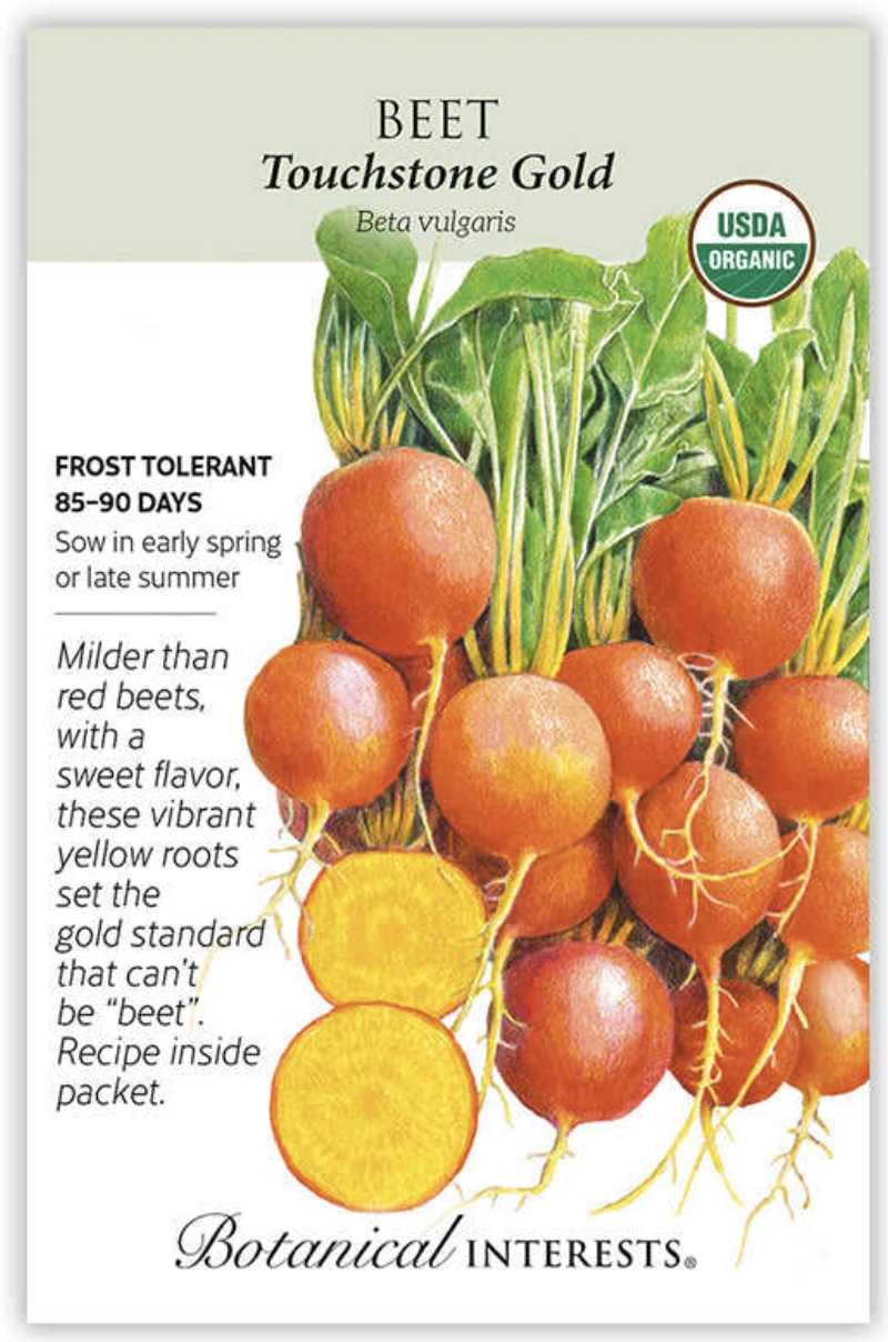 Organic Touchstone Gold Beet Seeds
