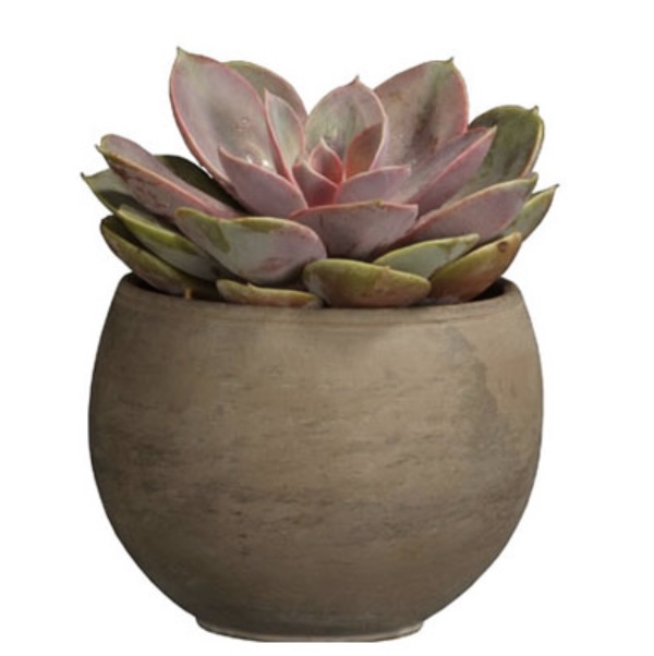 Luna Sphere Dark Basalt Clay Pot 5.3"