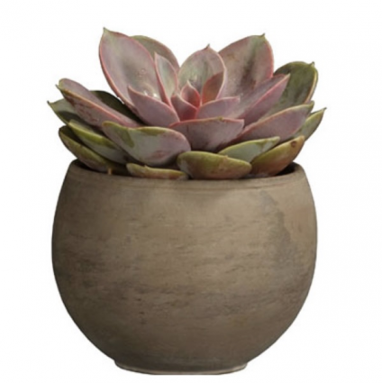 Luna Sphere Dark Basalt Clay Pot 5.3"
