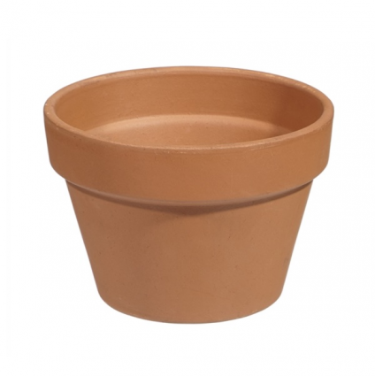 Azalea Clay Pot 6"